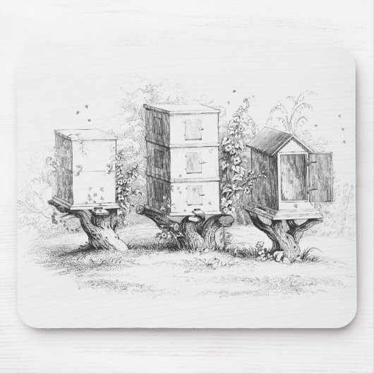 Vintage Bienenboxen Honig Mousepad (Vorne)