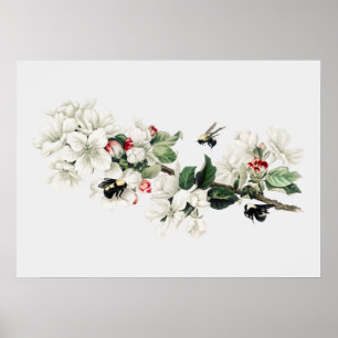 Vintage Bienendarstellung Poster