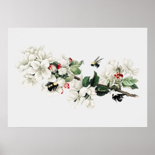 Vintage Bienendarstellung Poster (Vorne)