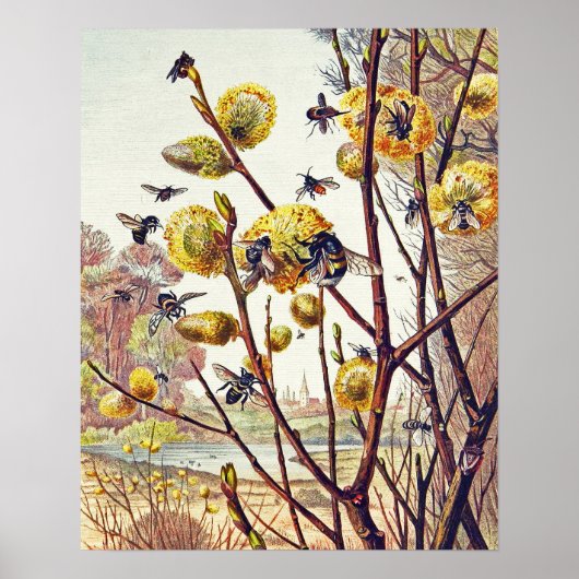 Vintage Bieneninsekten Frühlingsinsekten Willow Bl Poster (Vorne)