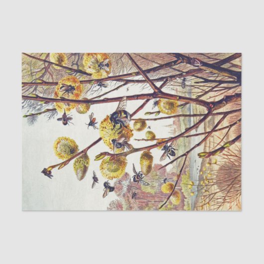 Vintage Bieneninsekten Frühlingsinsekten Willow Bl Seidenpapier (Vorderseite)