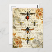 Vintage Bieneninsekten Postkarte (Vorne/Hinten)