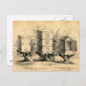 Vintage Bienenzucht Postkarte (Vorne/Hinten)