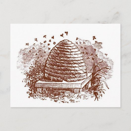 Vintage Bienenzucht Postkarte (Vorderseite)