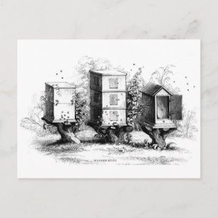 Vintage Bienenzuchtbienen Postkarte