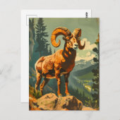 Vintage Bighorn Sheep Illustration Postkarte (Vorne/Hinten)