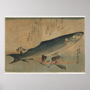 Vintage-Bild einer japanischen gestreiften Meeräsc Poster