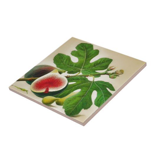 Vintage Bilddarstellung Fliese (Seite)