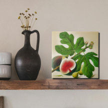 Vintage Bilddarstellung