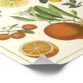 Vintage Bildung Poster (Ecke)