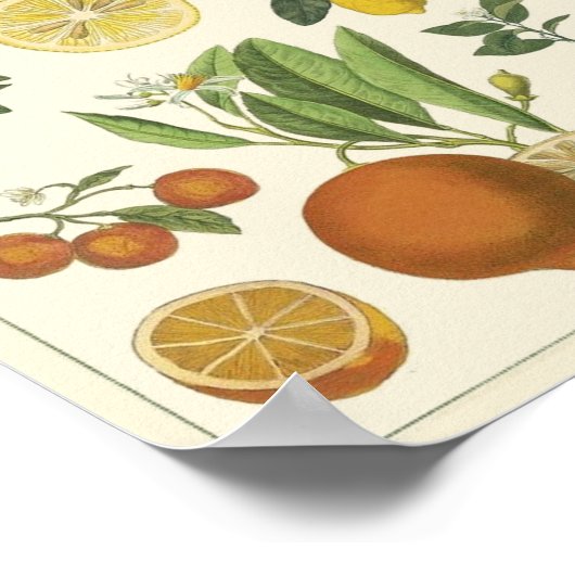 Vintage Bildung Poster (Ecke)