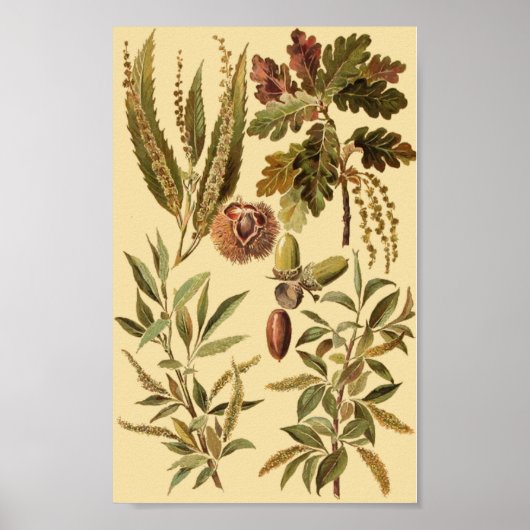 Vintage Bildung Poster (Vorne)