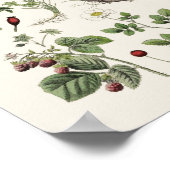 Vintage Bildung Poster (Ecke)