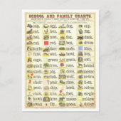 Vintage Bildungstabelle für Sehbegriffe Postkarte (Vorderseite)