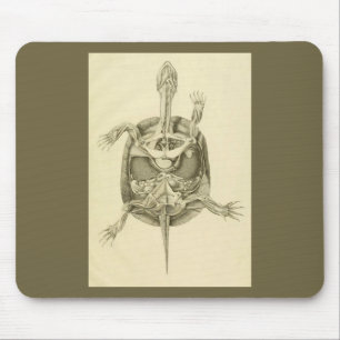 Vintage biologische Schildkröte-Anatomie Mousepad