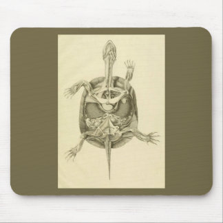 Vintage biologische Schildkrötenanatomie Mousepad