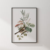 Vintage Bird and Mushroom Botanical Poster