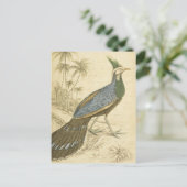 Vintage Bird Blue Green Feathers Peacock Pheasants Postkarte (Stehend Vorderseite)