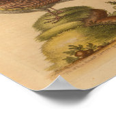 Vintage Bird Brown Butterfells Gelbe Printwerbung Poster (Ecke)