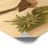Vintage Bird Brown-Fleckenschmetterlinge Poster (Ecke)