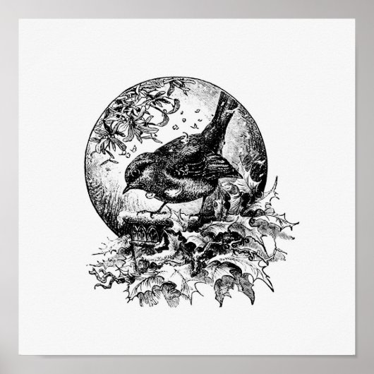 Vintage Bird Illustration Poster (Vorne)