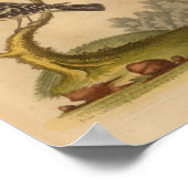 Vintage Bird Yellow Black Poster (Ecke)