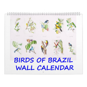 Vintage Birds of Brazil Wandkalender