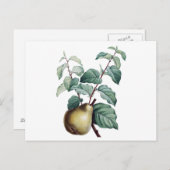 Vintage Birne Postkarte (Vorne/Hinten)