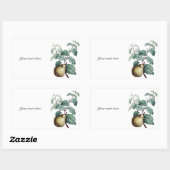 Vintage Birne Rechteckiger Aufkleber (Blatt)