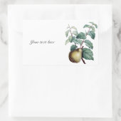 Vintage Birne Rechteckiger Aufkleber (Tasche)