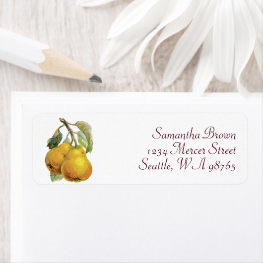 Vintage Birnen (Insitu)