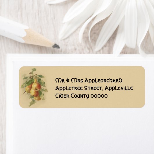 Vintage Birnen (Insitu)