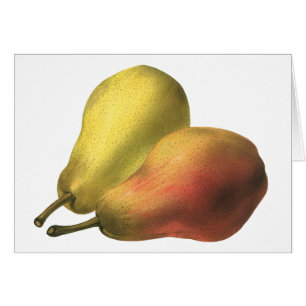 Vintage Birnen, Bio-Lebensmittel, reife Früchte