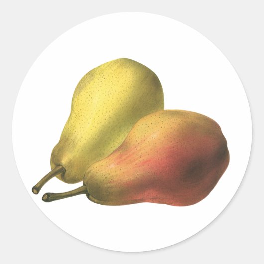 Vintage Birnen, Bio Lebensmittel, reifen Früchte Runder Aufkleber (Vorderseite)