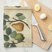 Vintage Birnen-botanische Frucht-Illustration Küchentuch (Viertel Falte)