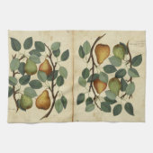 Vintage Birnen-botanische Frucht-Illustration Küchentuch (Horizontal)