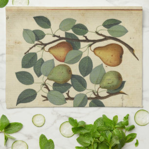 Vintage-Birnen-Botanische Fruchtillustration Küchentuch