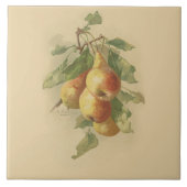 Vintage Birnen Fliese (Vorderseite)