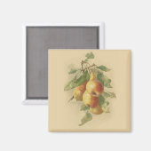 Vintage Birnen Magnet (Vorderseite/Rückseite)