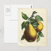 Vintage Birnenkarte Postkarte (Vorne/Hinten)