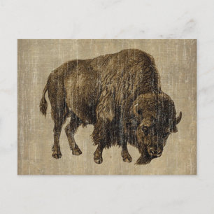 Vintage Bison Postkarte