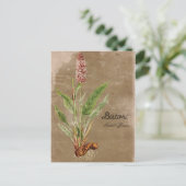 Vintage Bistort-Blume Postkarte (Stehend Vorderseite)