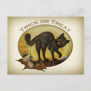 Vintage Black Cat Postkarte