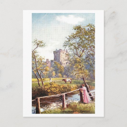 Vintage Blarney Castle, Irland, Postkarte (Vorderseite)