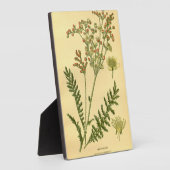 Vintage Bläschen-Bläschen-Bläschen-Bläschen Fotoplatte (Seite)