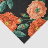 Vintage Bläschen Populäre Seidenpapier (Ausschnitt)