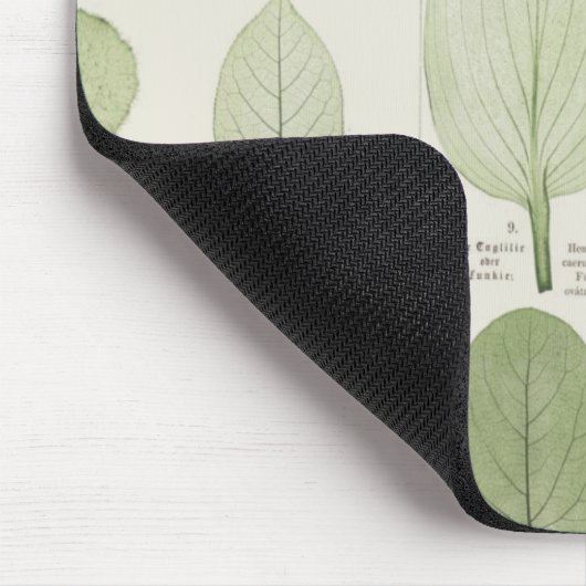 Vintage Blatt-Illustrationen Mousepad (Ecke)