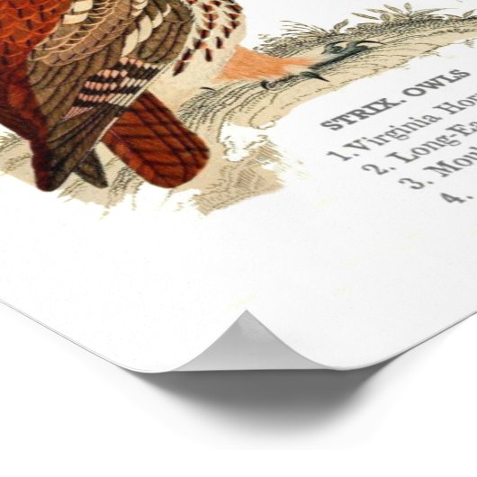 Vintage Blätter Poster (Ecke)