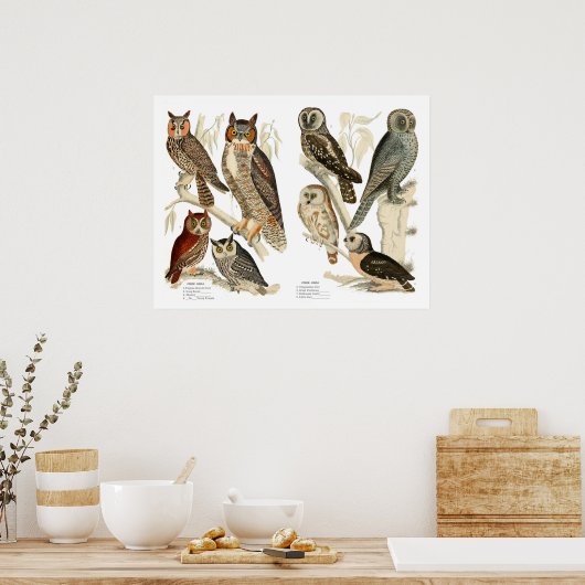 Vintage Blätter Poster (Küche)