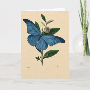 Vintage Blau Schmetterling, Happy Birthday Karte